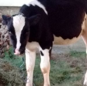 Meet your Posher, Tim l